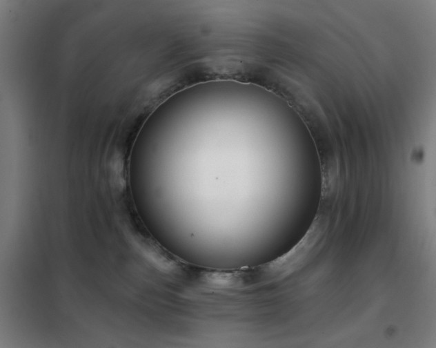 X0000102280187200807251407