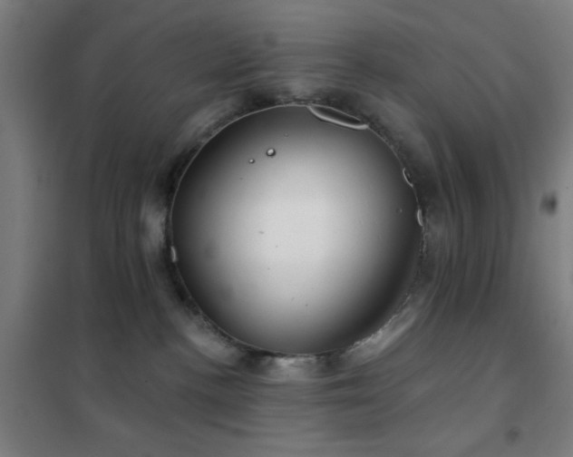 X0000102280188200807251407