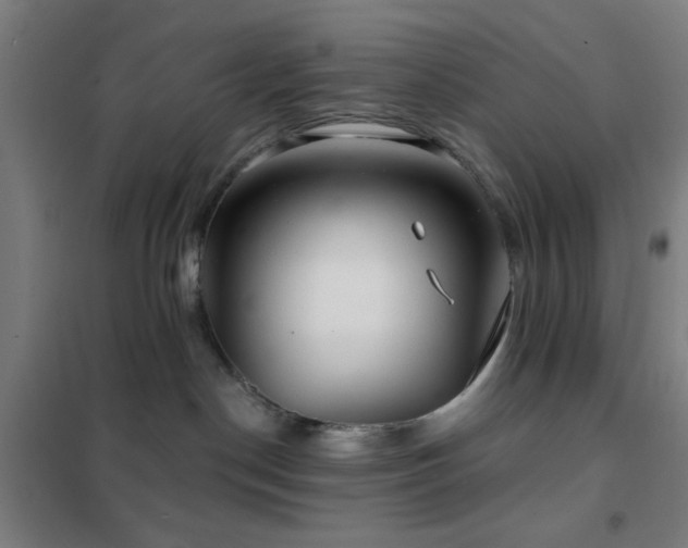 X0000102280190200807251407