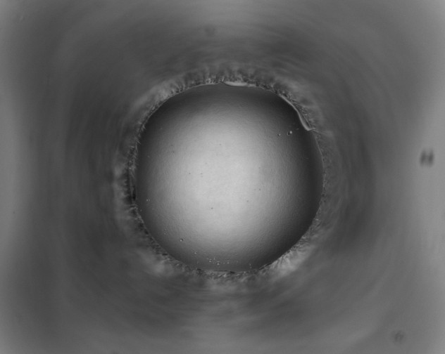 X0000102280192200807251407