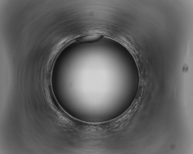 X0000102280193200807251406