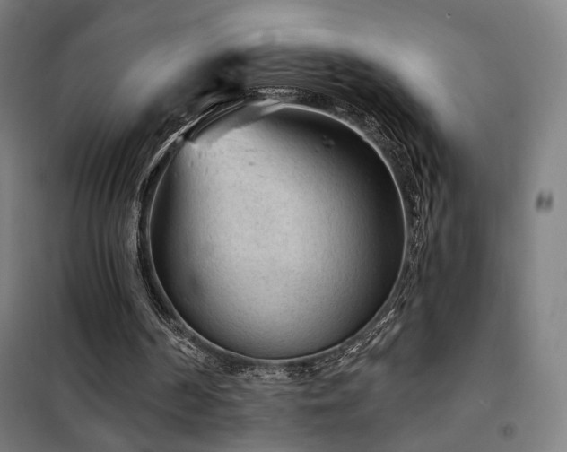 X0000102280194200807251406
