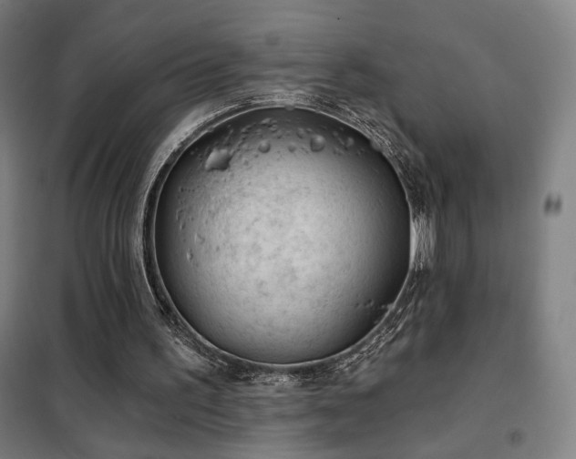 X0000102280195200807251406