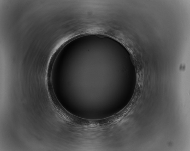 X0000102280196200807251406