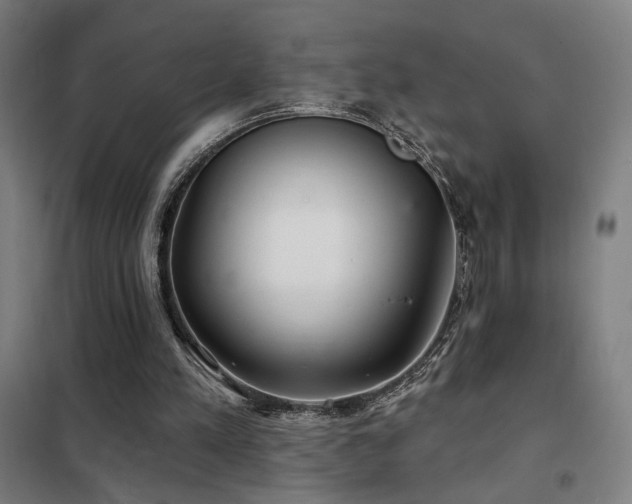 X0000102280197200807251406