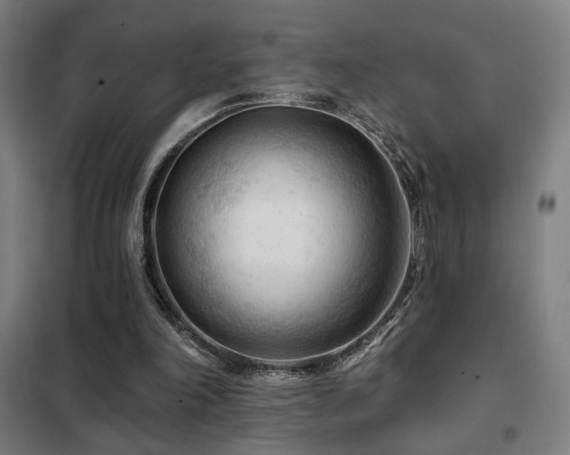 X0000102280198200807251406