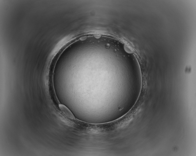 X0000102280199200807251406