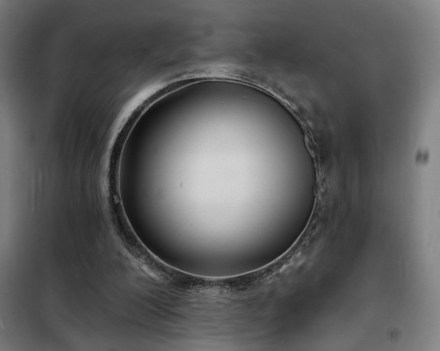 X0000102280200200807251406