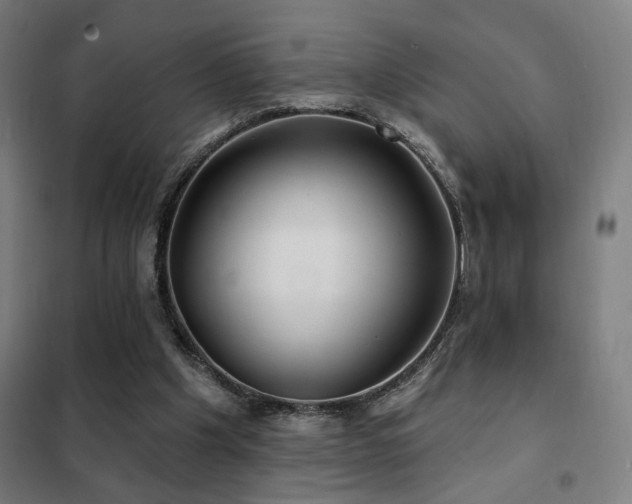 X0000102280201200807251406