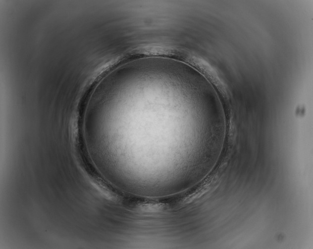 X0000102280202200807251406