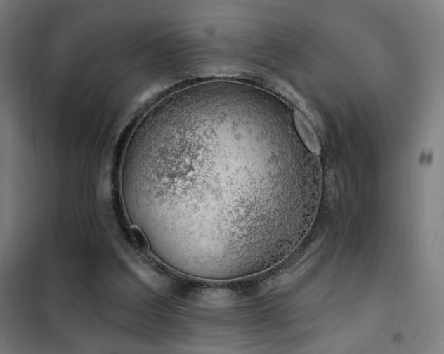X0000102280203200807251406