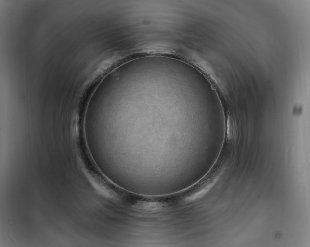X0000102280205200807251406