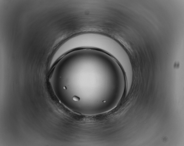 X0000102280207200807251406