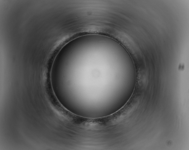 X0000102280208200807251406
