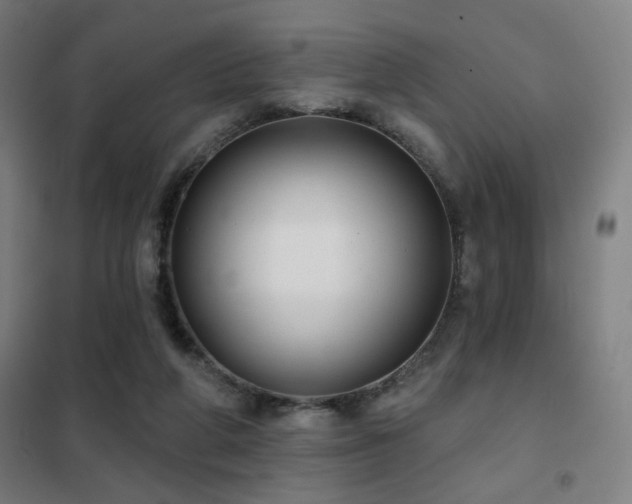 X0000102280210200807251406