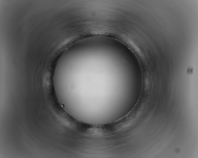 X0000102280211200807251406