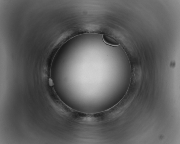 X0000102280212200807251406
