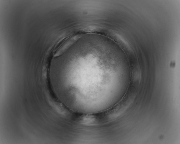 X0000102280214200807251406