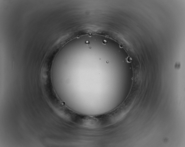 X0000102280215200807251406