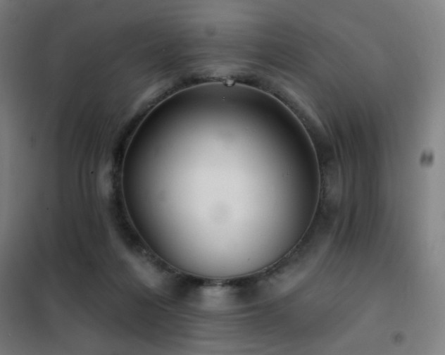 X0000102280216200807251406