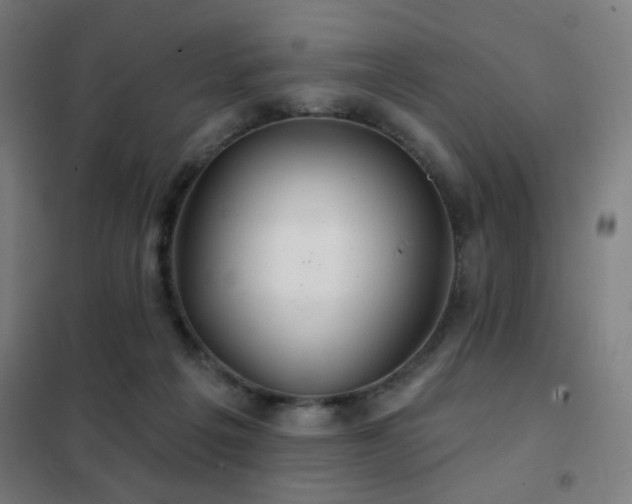 X0000102280217200807251406