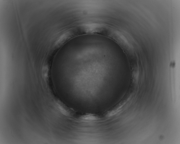 X0000102280219200807251406