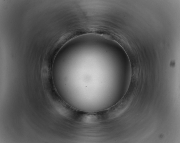 X0000102280220200807251406