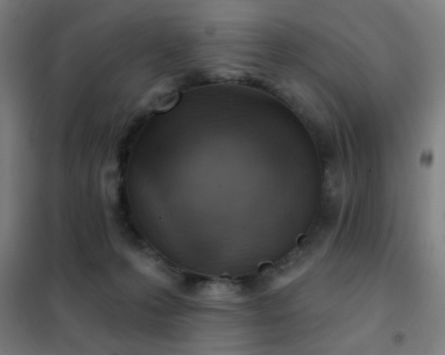 X0000102280223200807251406