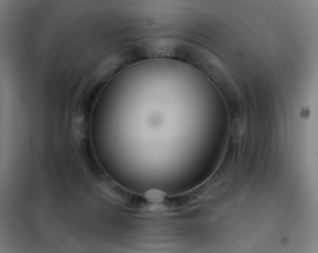 X0000102280224200807251406