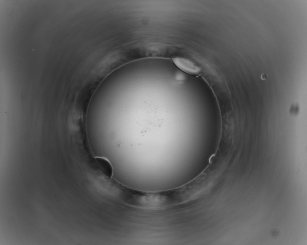 X0000102280225200807251406