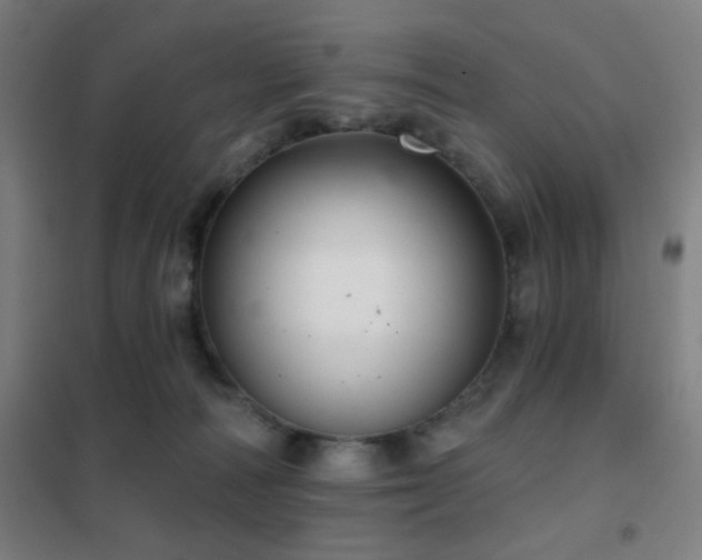 X0000102280226200807251406