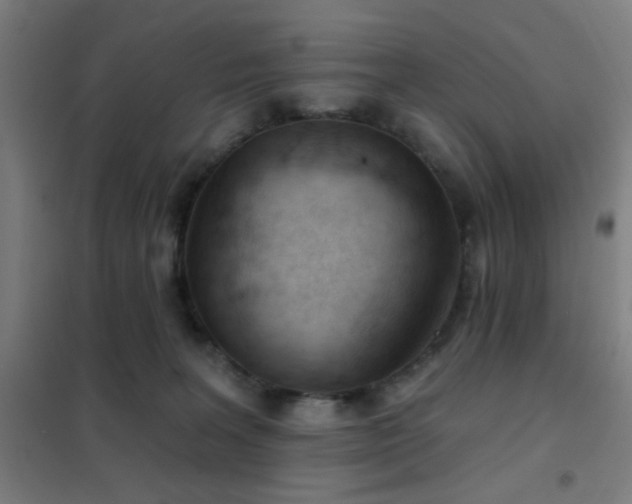X0000102280227200807251406