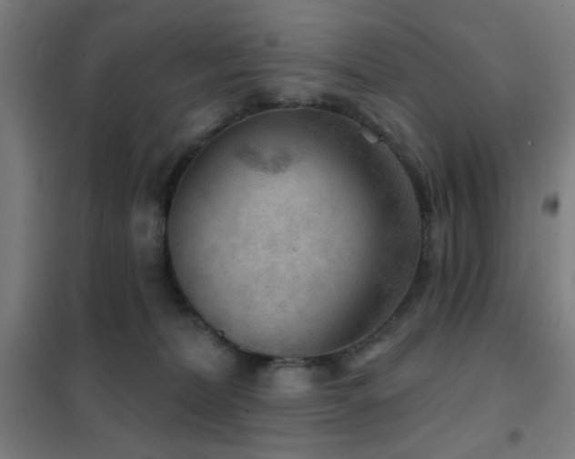 X0000102280228200807251406