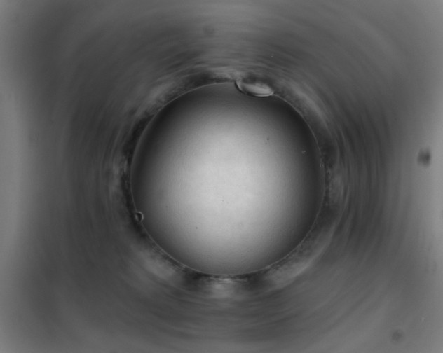 X0000102280229200807251406