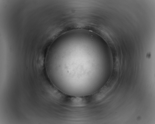 X0000102280230200807251406