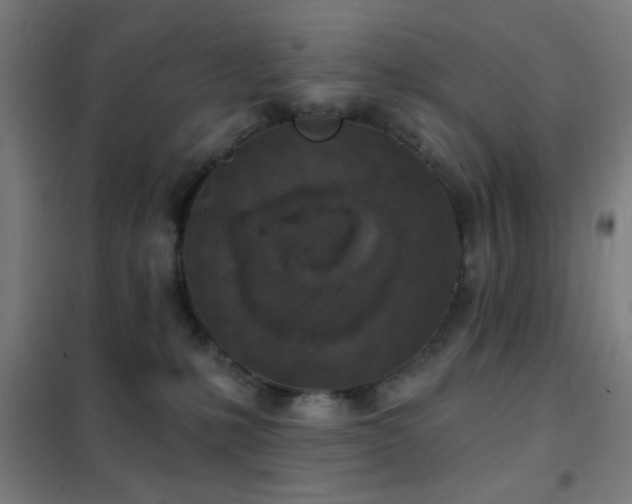 X0000102280231200807251406