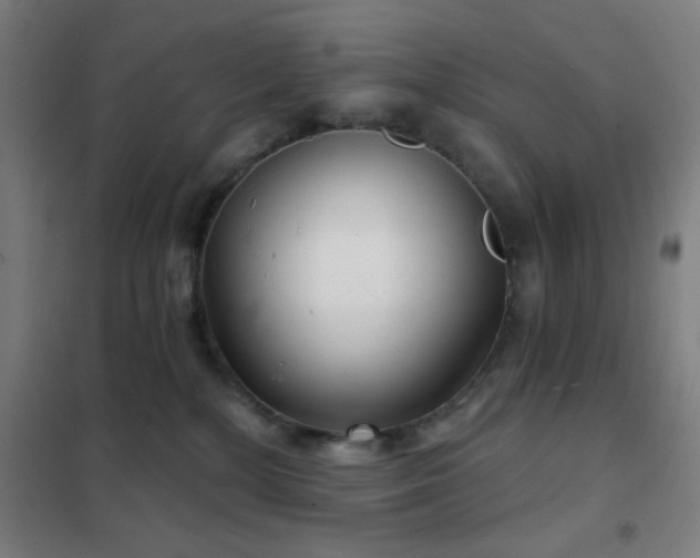 X0000102280232200807251406