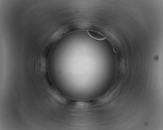 X0000102280234200807251406