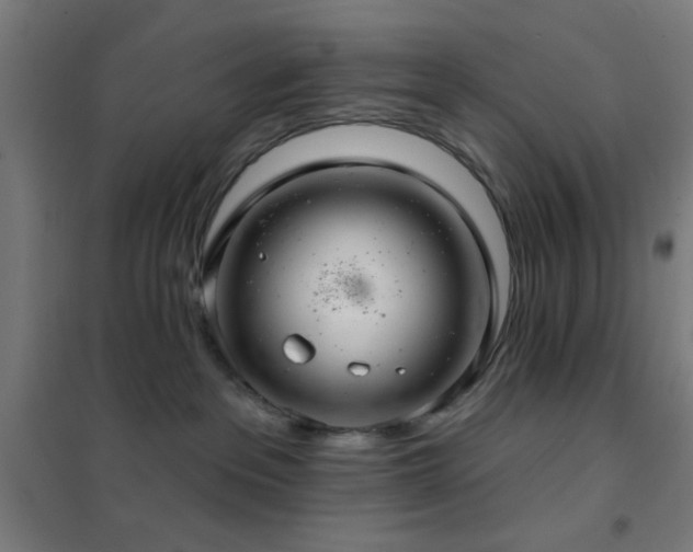 X0000102280237200807251405