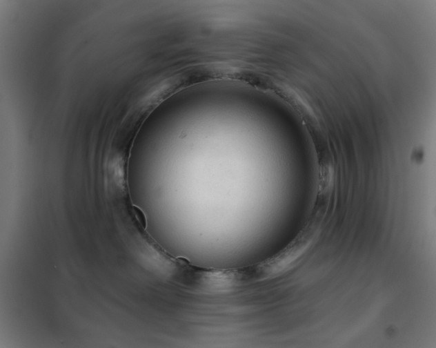 X0000102280238200807251405