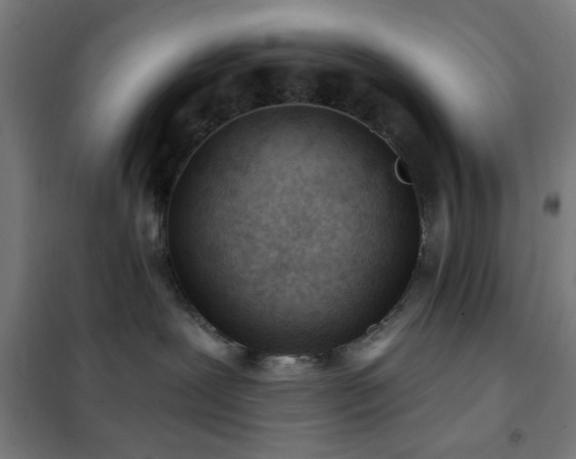 X0000102280239200807251405