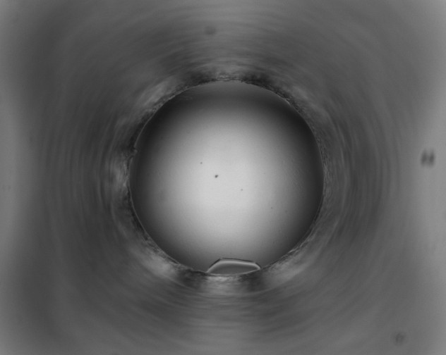 X0000102280240200807251405