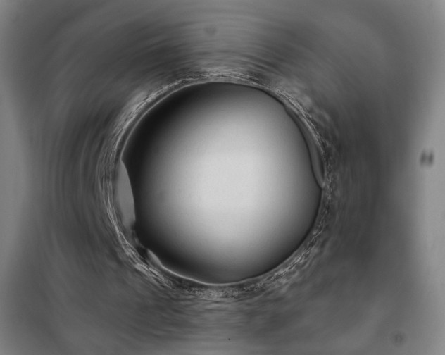 X0000102280241200807251405