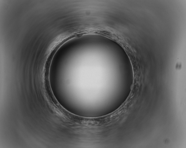 X0000102280242200807251405