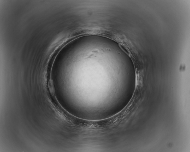 X0000102280243200807251405