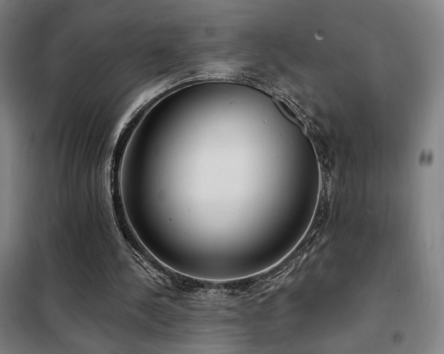 X0000102280244200807251405