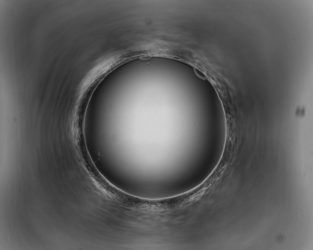 X0000102280245200807251405