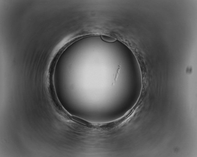 X0000102280246200807251405