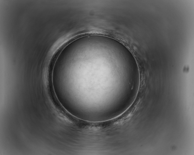 X0000102280247200807251405