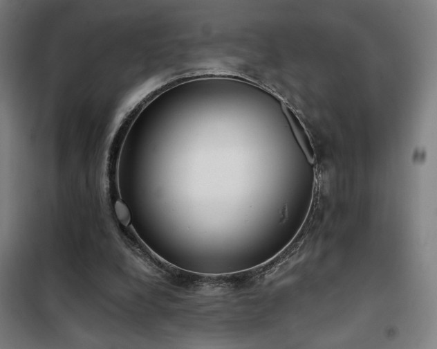 X0000102280248200807251405